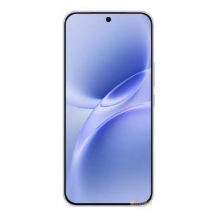 Vivo V70 FE V2550 8/256Gb (международная версия)